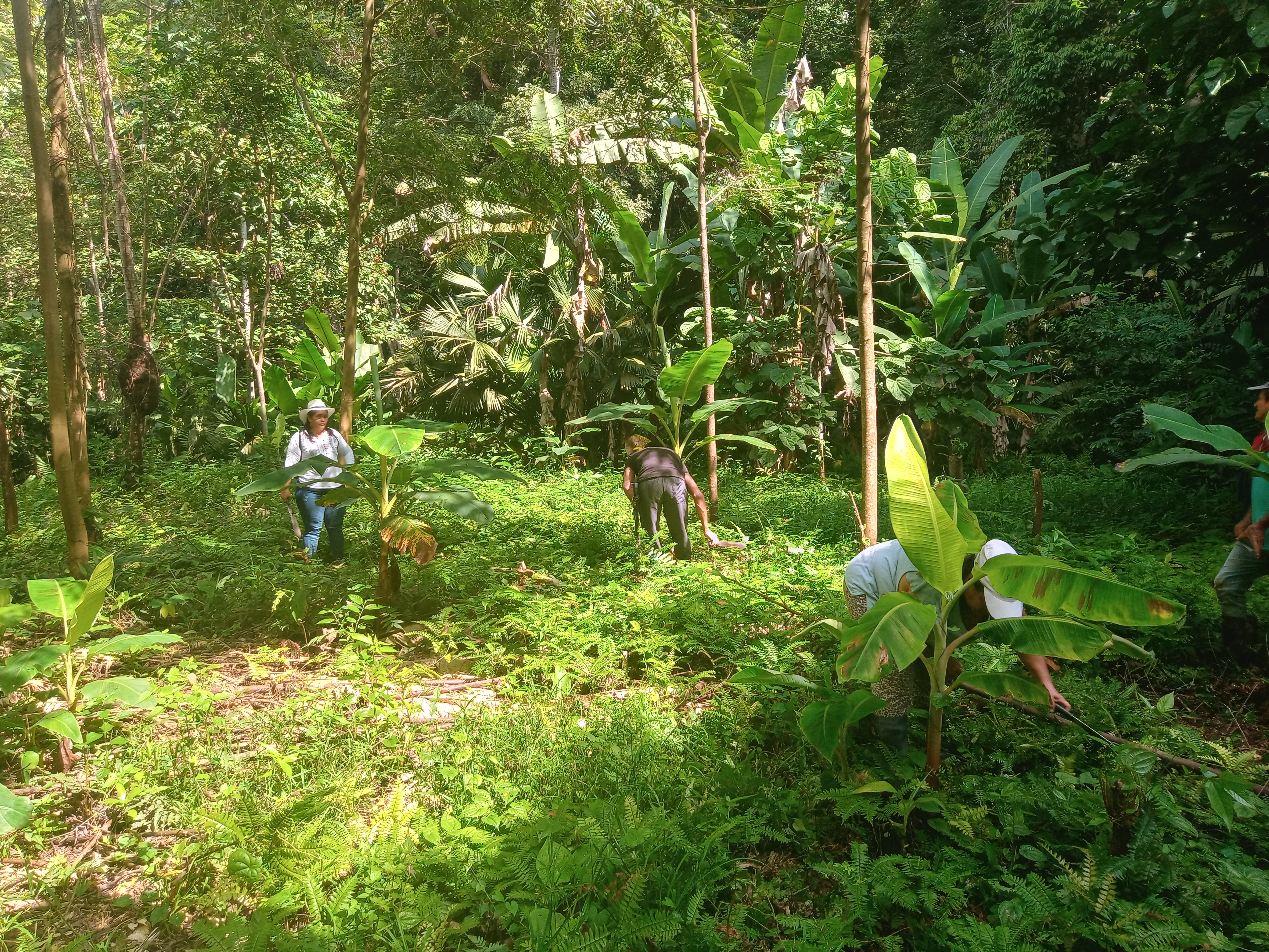 finca la bufalera